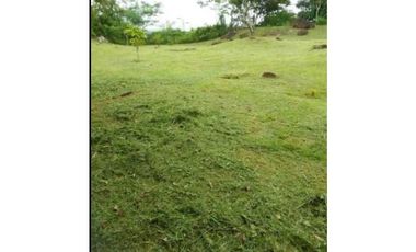 VENDO TERRENO EN ARRAIJAN NUEVO EMPERADOR 1000MTS