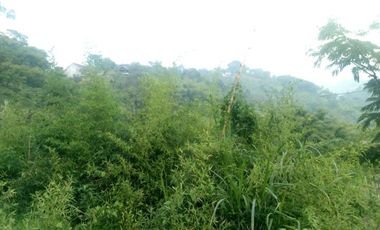 Murah !! Tanah di Dago Giri Lembang, main road pinggir jalan dekat dengan Dago Dream Park 1.5 juta/m² Nego !!