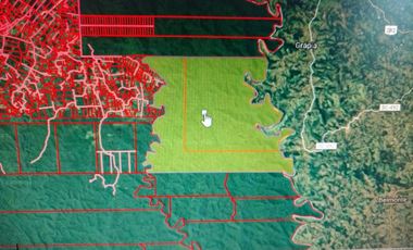 San Pedro-Selva Biosfera-Misiones