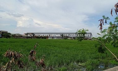 Tanah Kavling Marunda 3,8 Ha Bekasi Dkt Marunda Centre