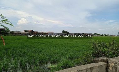 Tanah Kavling Marunda 3,8 Ha Bekasi Dkt Marunda Centre