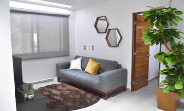 Departamento de lujo con amenidades, áreas comunes, Gym, alberca, roof, ludoteca y más.