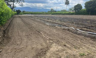 lote en venta en rozo. Cod V108057