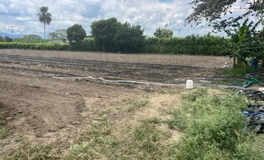lote en venta en rozo. Cod V108057