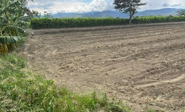 lote en venta en rozo. Cod V108057