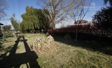 FERNANDEZ POEPPEL Vende Finca Produccion Uvas Finas Tupungato Mendoza