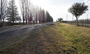 FERNANDEZ POEPPEL Vende Finca Produccion Uvas Finas Tupungato Mendoza