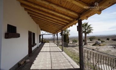 FERNANDEZ POEPPEL Vende Finca Produccion Uvas Finas Tupungato Mendoza