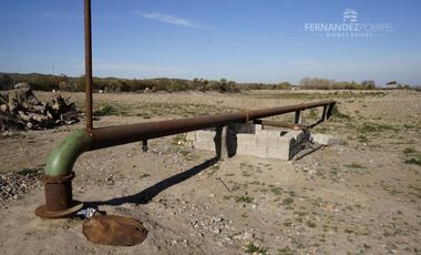 FERNANDEZ POEPPEL Vende Finca Produccion Uvas Finas Tupungato Mendoza