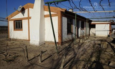 FERNANDEZ POEPPEL Vende Finca Produccion Uvas Finas Tupungato Mendoza