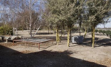 FERNANDEZ POEPPEL Vende Finca Produccion Uvas Finas Tupungato Mendoza