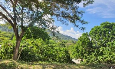 Overlooking 216 SQM Lot for Sale in Greenwoods near Talamban Cebu City with Mountain View