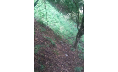 VENTA TERRENO CHAME