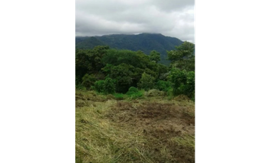 VENTA TERRENO CHAME
