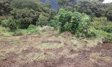VENTA TERRENO CHAME