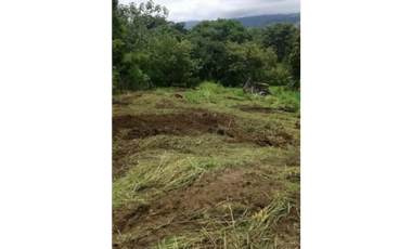 VENTA TERRENO CHAME