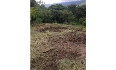 VENTA TERRENO CHAME
