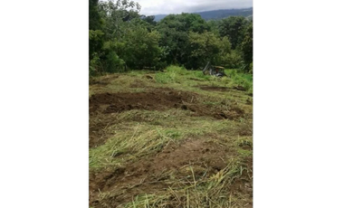 VENTA TERRENO CHAME