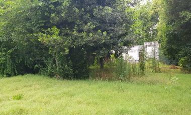 Casa en venta en Platanos
