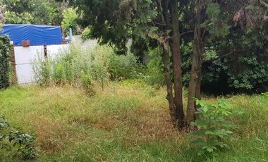 Casa en venta en Platanos