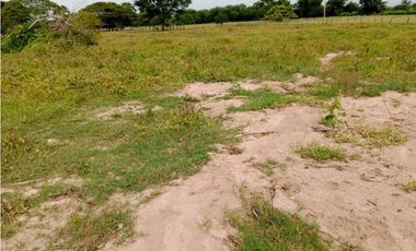 Venta de lote El Copey cesar