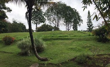 Tanah komersil di Jl Raya Puncak Bogor - Nego Habis