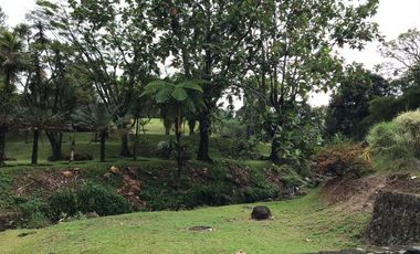 Tanah komersil di Jl Raya Puncak Bogor - Nego Habis