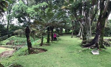 Tanah komersil di Jl Raya Puncak Bogor - Nego Habis