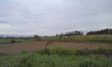 HUIMEO, LONGAVÍ