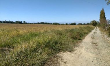 HUIMEO, LONGAVÍ