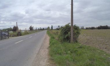 HUIMEO, LONGAVÍ