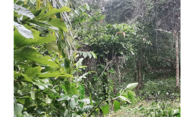 OPORTUNIDAD TERRENO CON EXCELENTE VISTA