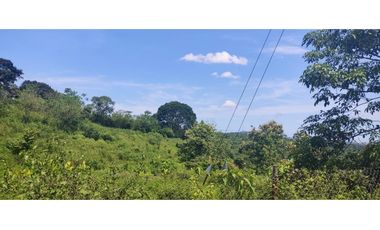 Se Vende Finca Titulada de 9.29 HAS en el Oeste