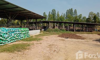 Land for sale in Don Chedi, Suphan Buri