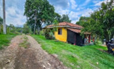 GALPÓN VENTA SANTANDER CON 2 GALPONES Y   25770 M² LOTE. Cod V6556