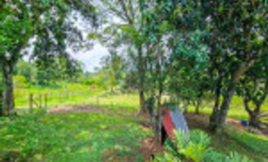 GALPÓN VENTA SANTANDER CON 2 GALPONES Y   25770 M² LOTE. Cod V6556