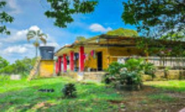 GALPÓN VENTA SANTANDER CON 2 GALPONES Y   25770 M² LOTE. Cod V6556
