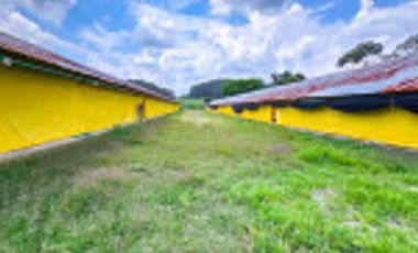 GALPÓN VENTA SANTANDER CON 2 GALPONES Y   25770 M² LOTE. Cod V6556