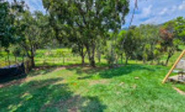GALPÓN VENTA SANTANDER CON 2 GALPONES Y   25770 M² LOTE. Cod V6556
