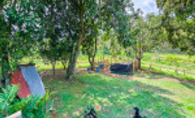 GALPÓN VENTA SANTANDER CON 2 GALPONES Y   25770 M² LOTE. Cod V6556