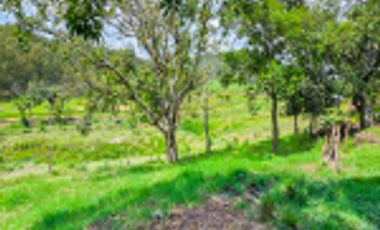 GALPÓN VENTA SANTANDER CON 2 GALPONES Y   25770 M² LOTE. Cod V6556