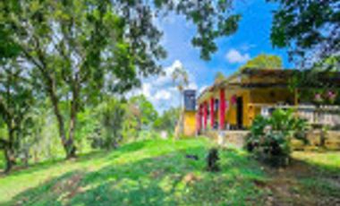 GALPÓN VENTA SANTANDER CON 2 GALPONES Y   25770 M² LOTE. Cod V6556