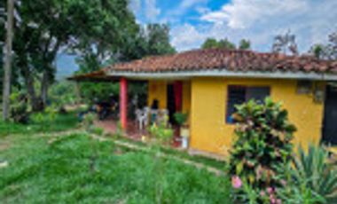 GALPÓN VENTA SANTANDER CON 2 GALPONES Y   25770 M² LOTE. Cod V6556
