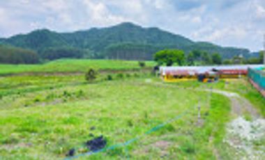 GALPÓN VENTA SANTANDER CON 2 GALPONES Y   25770 M² LOTE. Cod V6556
