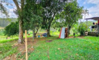GALPÓN VENTA SANTANDER CON 2 GALPONES Y   25770 M² LOTE. Cod V6556