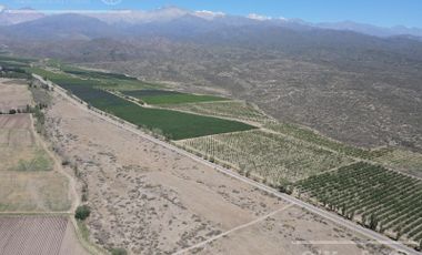 Venta de 30.000 has ideal proyecto inmobiliario de gran envergadura turistica ,con viñedos ,nogales y hortalizas Valle de Uco Mendoza ( Consultar Precio)