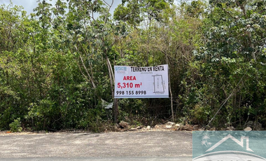 RENTA TERRENO CANCUN 5310 M2 POLIGONO SUR POSIBLE SUBDIVISION LITTLE ALAMOS