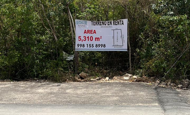 RENTA TERRENO CANCUN 5310 M2 POLIGONO SUR POSIBLE SUBDIVISION LITTLE ALAMOS