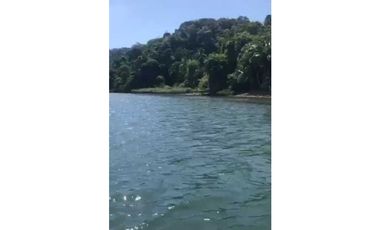 VENDO 14 HECTAREAS EN BAHIA HONDA