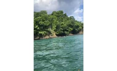 VENDO 14 HECTAREAS EN BAHIA HONDA